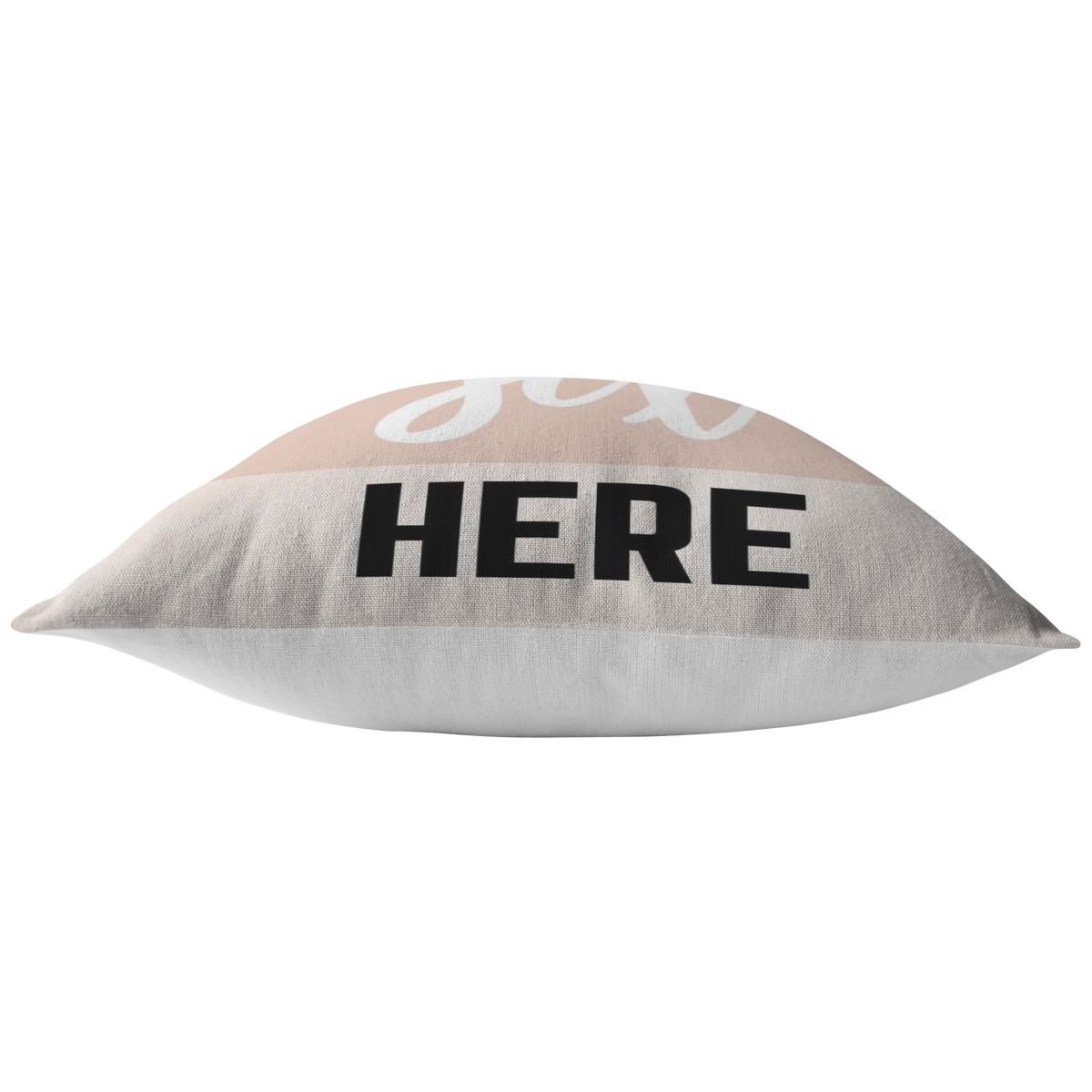 We Had Sex Here Pillow